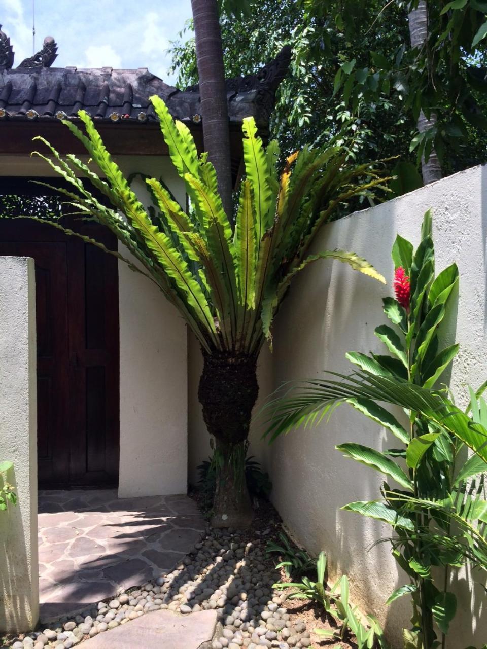 Villa Bulan Mas Ubud Exteriér fotografie